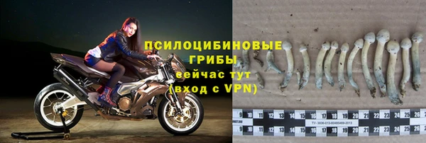 трава Алзамай