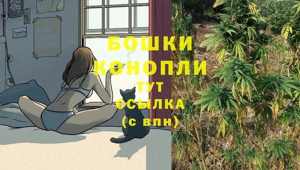 трава Алзамай