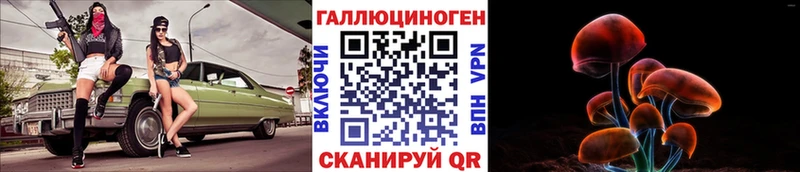 дарк нет какой сайт Краснообск Псилоцибиновые грибы Psilocybe